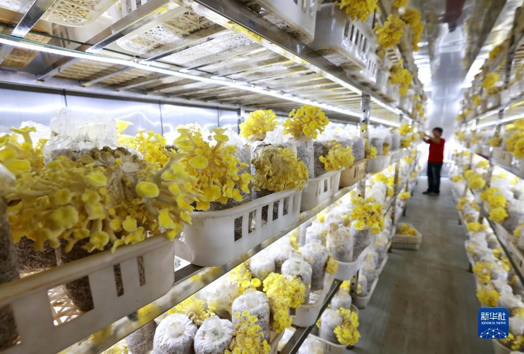 银河登录总站